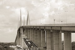 "Foto-Safari Ponte Newton Navarro"