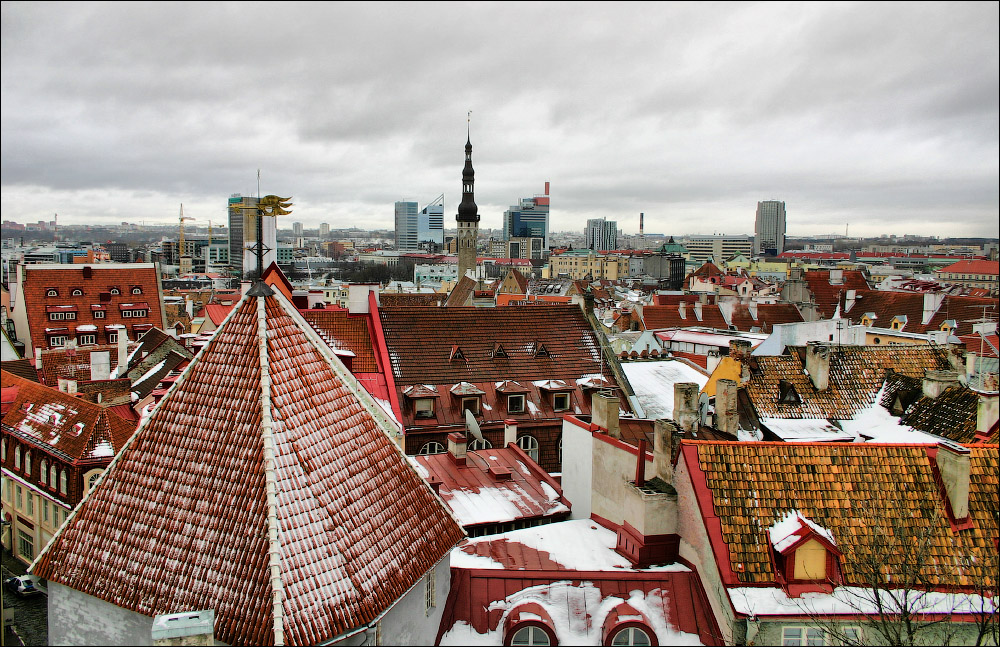 Таллинн, Эстония. Фотобродилка. Что посмотреть