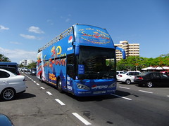 Tenerife Buses (non TITSA)