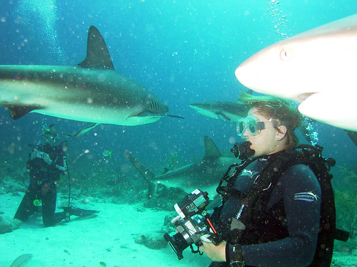 Nick with sharks
