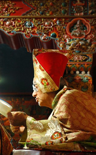 Transmission on the Triple Tantra: His Holiness Jigdal Dagchen Sakya reading a pecha, wearing formal silk robes, on his teaching throne, Tharlam Monastery of Tibetan Buddism, Boudha, Kathmandu, Nepal by Wonderlane