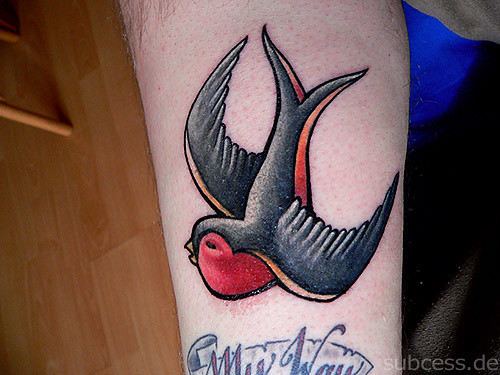Swallow Tattoo my brandnew swallow on the leg inside 