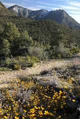 Sawtooth Peak (Southern Sierra)