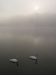 La Meuse en brume