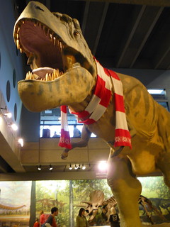 Tyrannosaurus Rex, Museum of Science, Boston