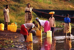 在靠近埃及尼羅河水源附近，尼日烏干達的女人自維多利亞湖取得水源。(Peter Schnurman提供)