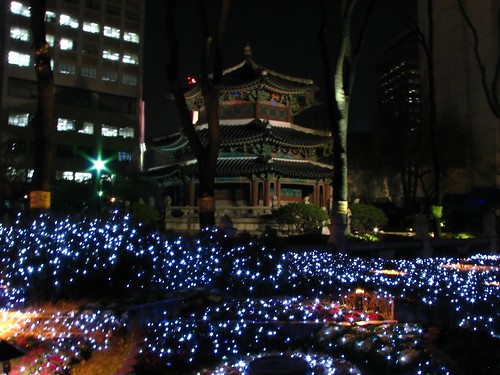 Christmas Lights Seoul Korea