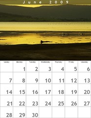 Challenge: Calendar pages