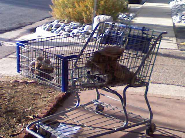 Stray Shopping Cart