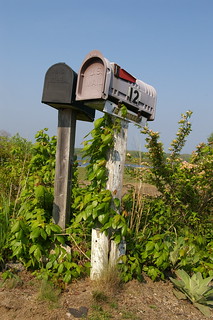 Mailboxes, Great Island, Narragansett, RI