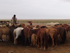 Photo Gobi Desert (Mongolia)