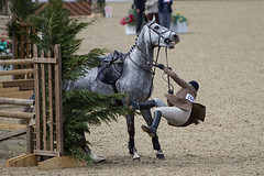 Royal Windsor Horse show 2011