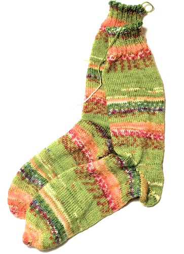 Double Knit Socks