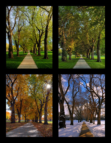 Through the Seasons at the Colorado State University Oval