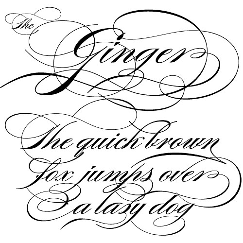 Burgues Script by Alejandro Paul - Burgues Script from Typog… - Flickr - Photo Sharing!