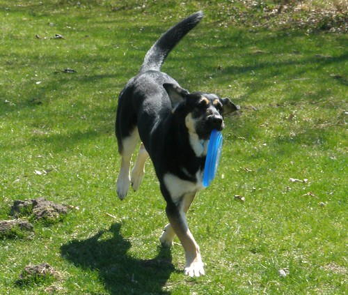 Gretel Hopping with Frisbee