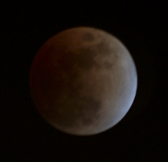 Lunar eclipse 2008