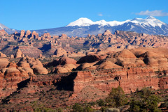 .Moab: Tilted plateau above Kane Springs Canyon