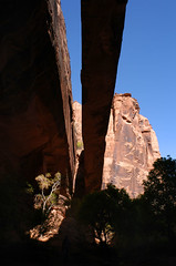 Moab: Grandstaff Canyon