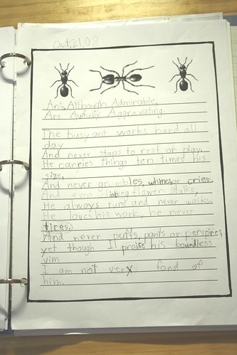 poem notebook ANTS
