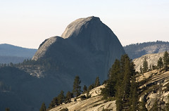 Yosemite Nat'l Park