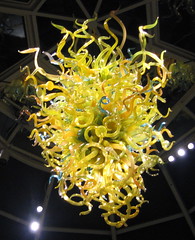 Chihuly at Phipps