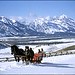 Sleigh ride, Jackson Hole Wyoming, Grand Tetons