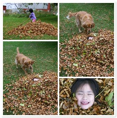 Fun in the Leaves