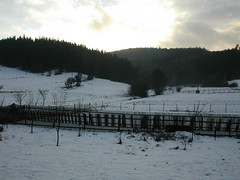 2005-12-15 Czech Republic