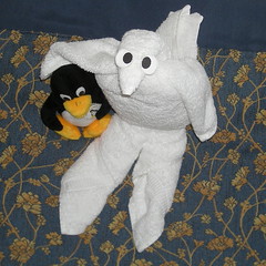 2008 SA/Antarctica -- Towel Animals!