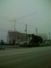 Foggy Tampa Bay