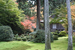 Sanzenin Temple, Ohara, Kyoto, Japan