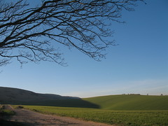 Sussex & South Downs