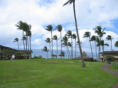 Maui 2008