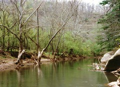 North Bend State Park, West Virginia spring 1998
