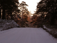 Erkylä Winter - Erkylän talvi