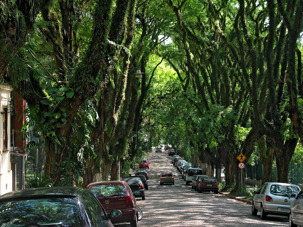 Rua Gonçalo de Carvalho