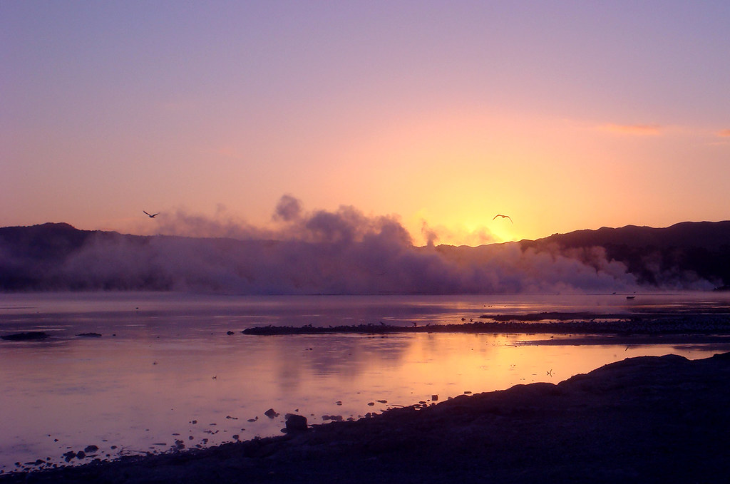 Steaming Lake in Rotorua