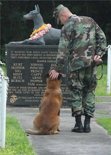 war-dog-memorial