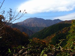 Mt. Ikeda Hiking (池田山)