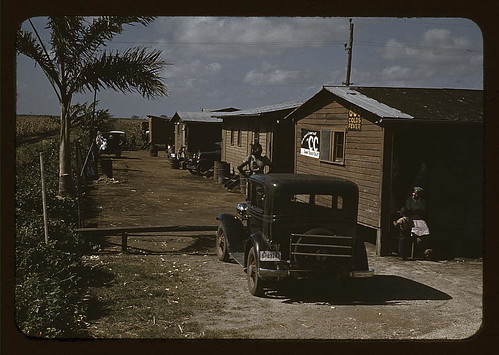 Houses which have been condemned by the Board of Health, but are still occupied by Negro Migratory workers, Belle Glade, Fla. (LOC)