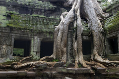 angkor temples