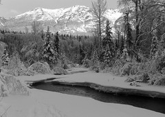 Alaska - Black & White