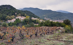 Escagnès, Roquebrun
