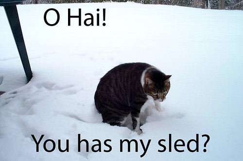 snowcat_lolcat