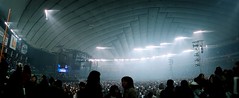 one night dejavu: inside tokyo dome