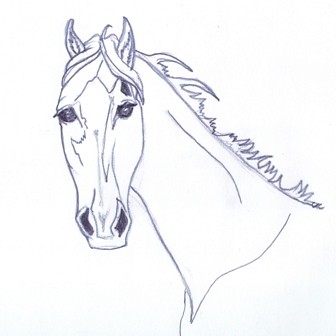 Horse Coloring Pages on Horse Coloring Book Page   Flickr   Photo Sharing