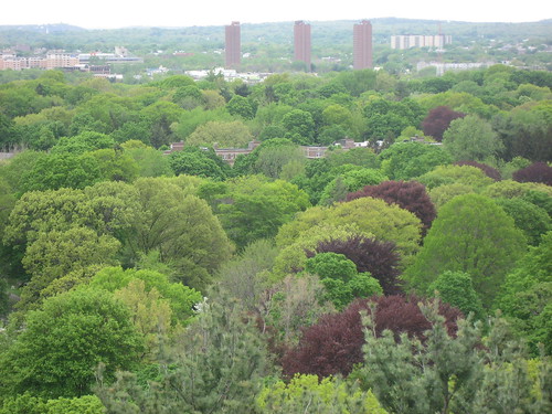 Cambridge panorama