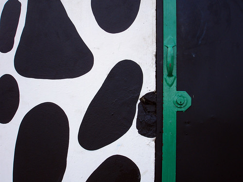 Dalmatian wall
