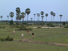 Cambodge part II - Tonlé Sap 2005